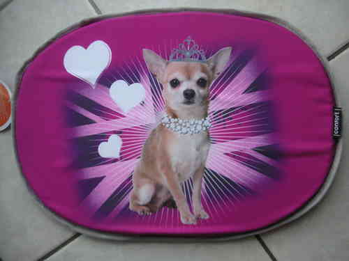 coussin galette 61cm chihuahua