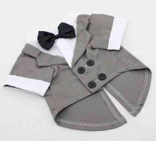 costume gris chemise blanche nœud noir XS