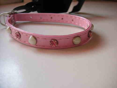 collier rose chiot