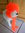 bonnet chien fluo orange tricoté à la main